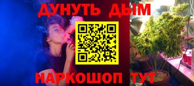 крисы Краснодар